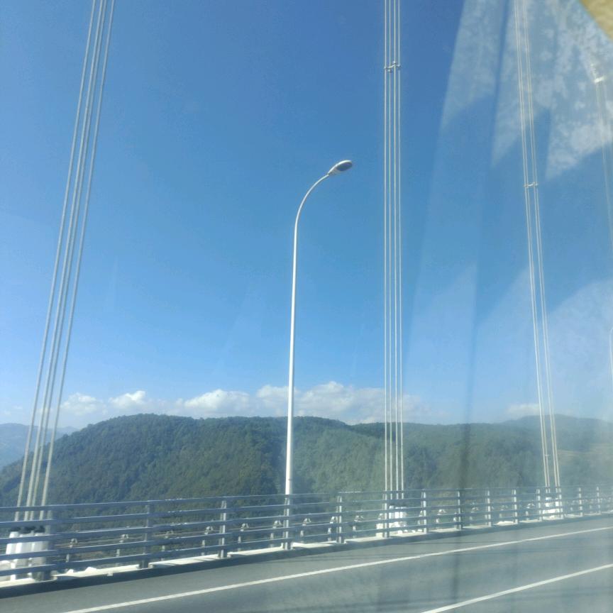 艳影浮梦