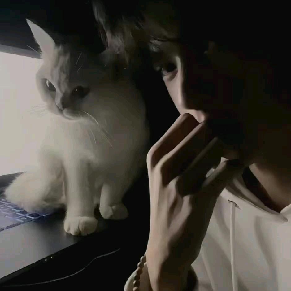 清♥