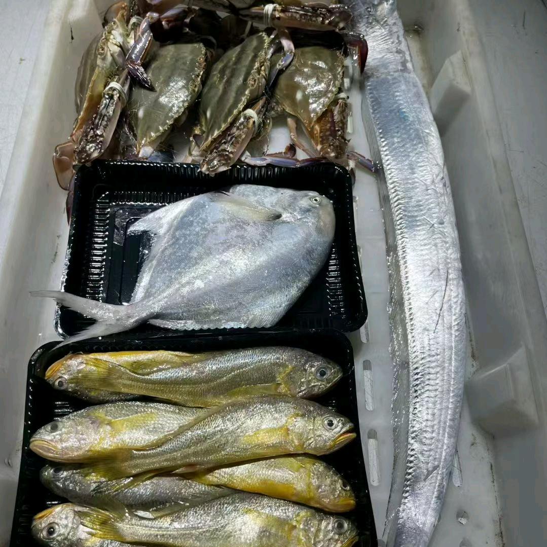 🦀舟山🐟海鲜🦐峰