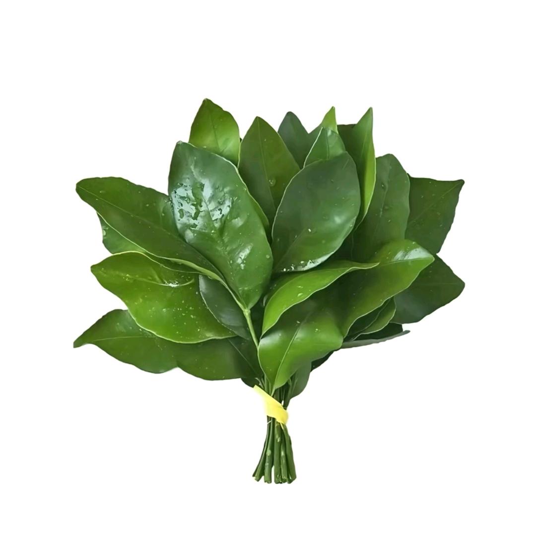 @ 霉有烦恼