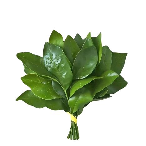 89岁艳丽后妈
