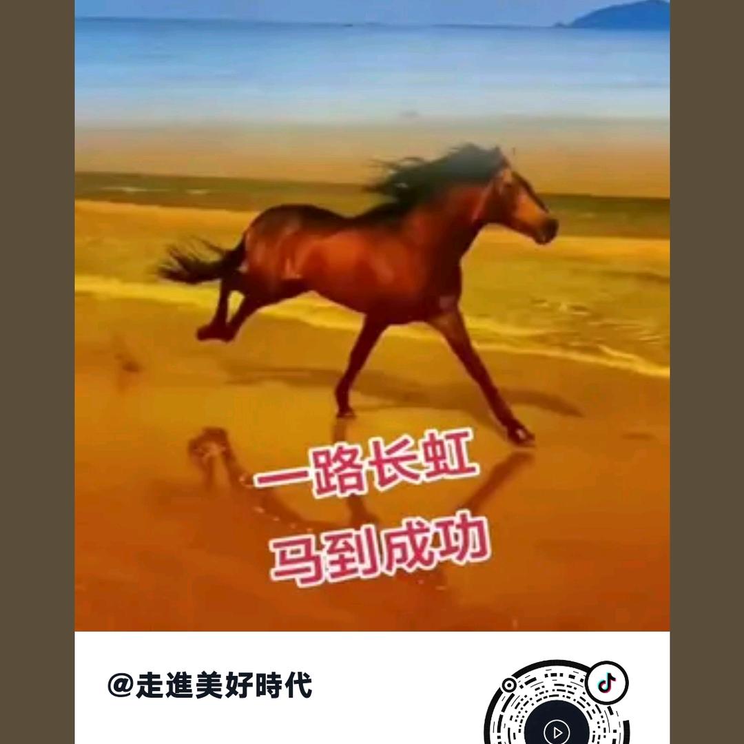 駿馬飛腾