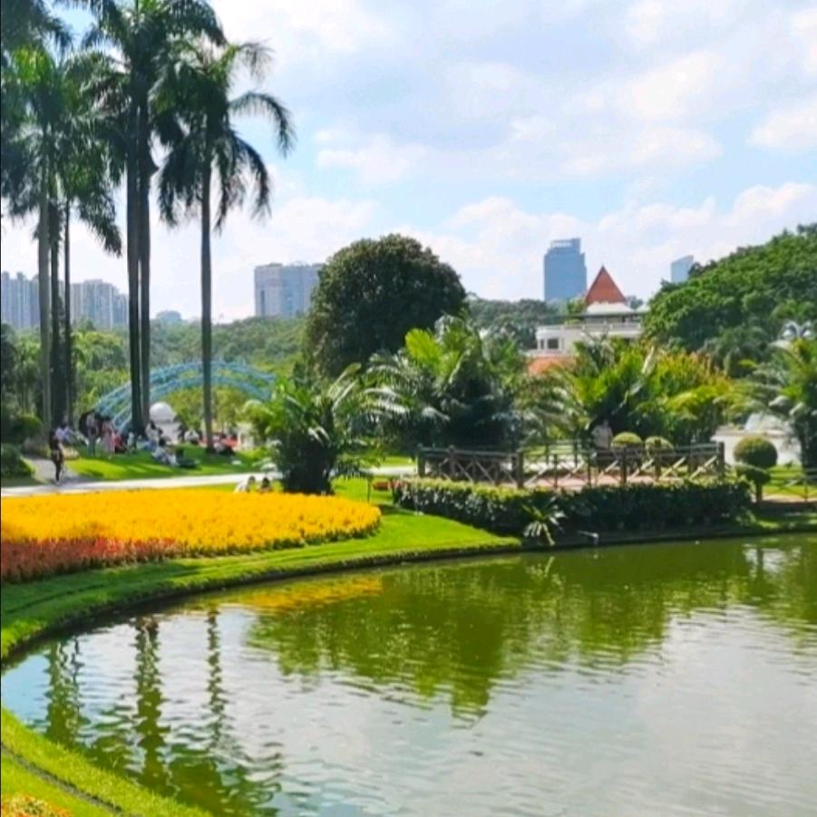 云游阿恒