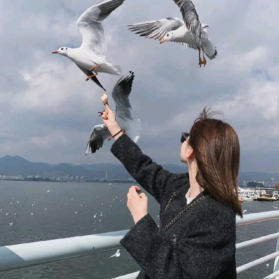 你所見即我º
