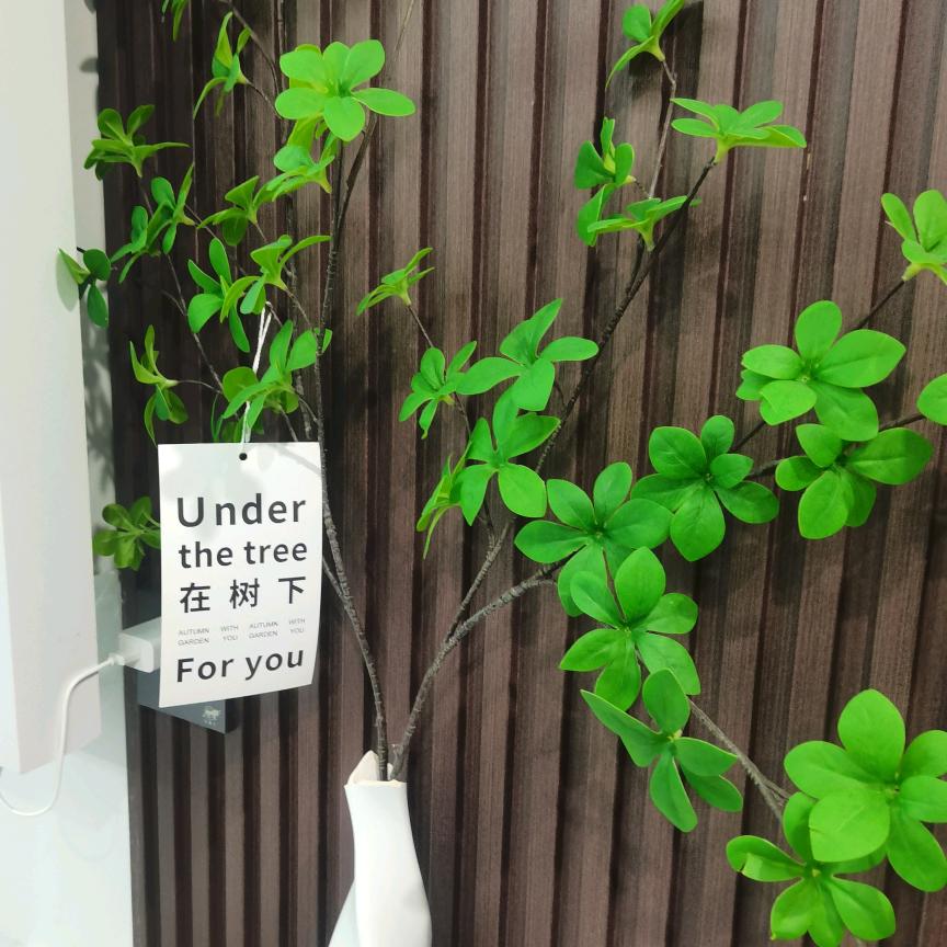 林绍严百货