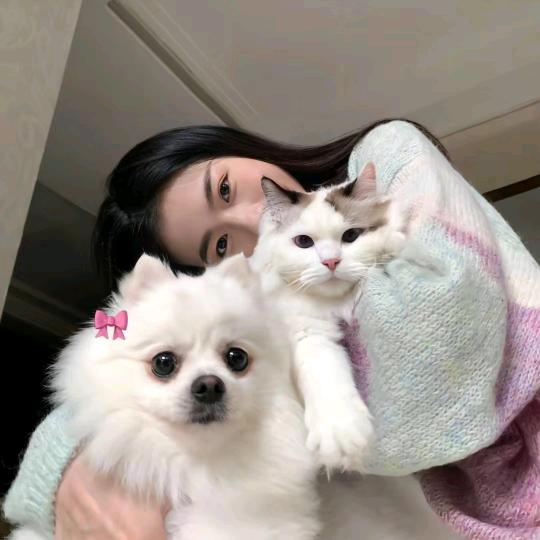 帮好姐妹解决人生大事