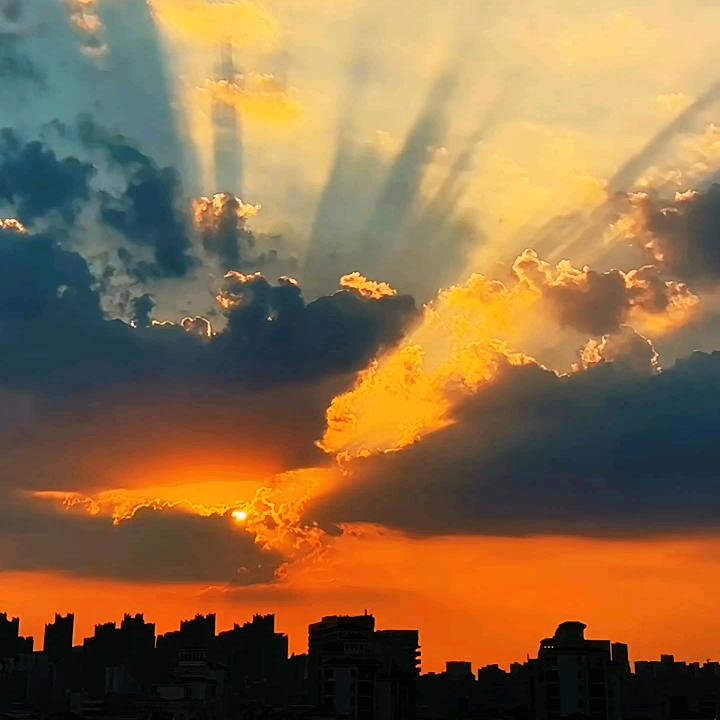 风雨送春归