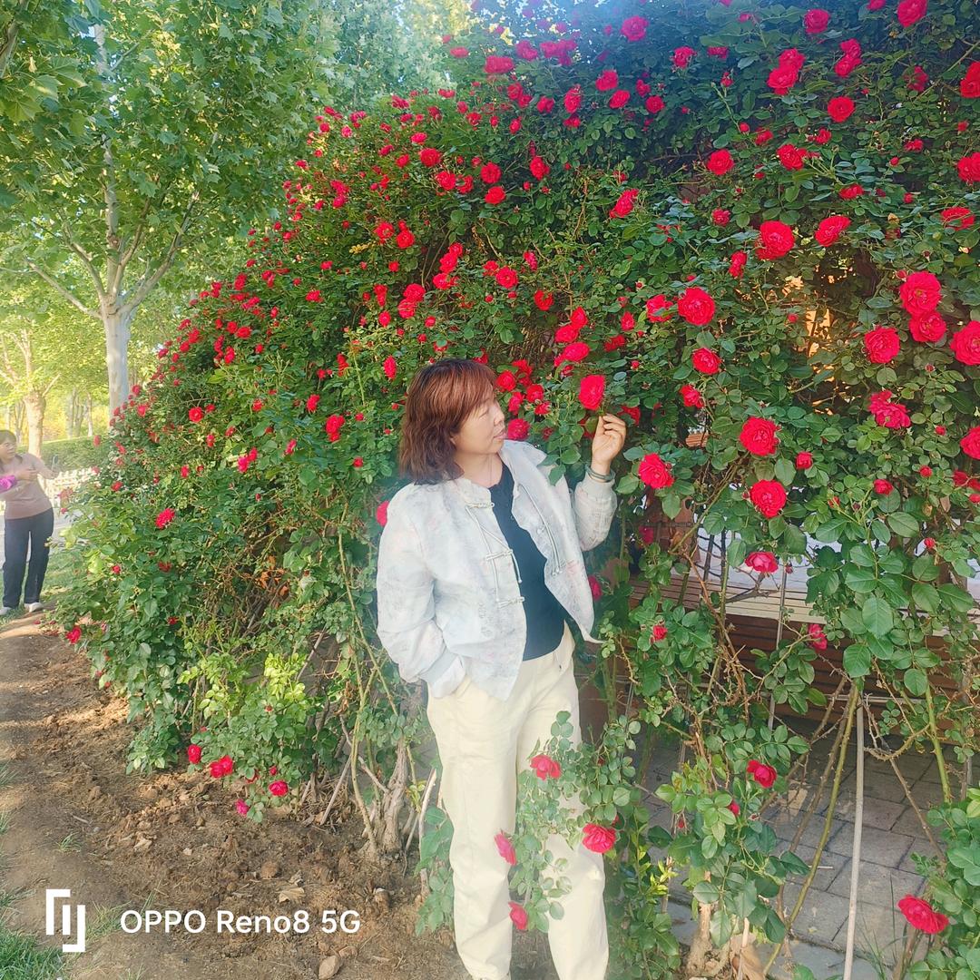 十分钟精读(14点21)