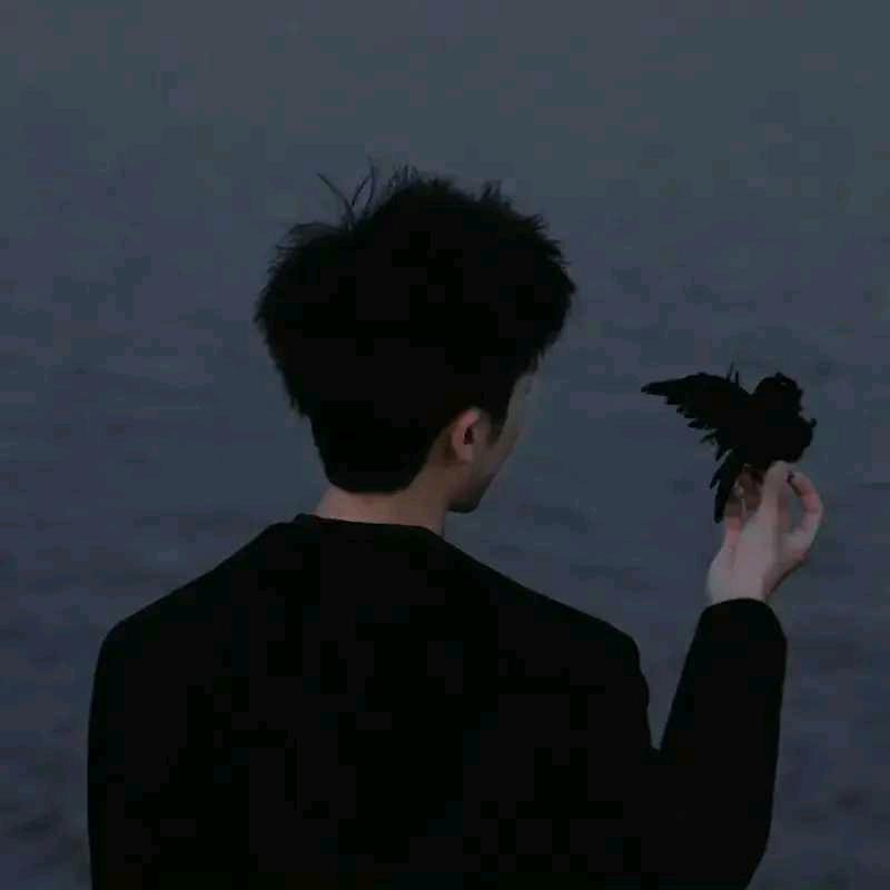 凡世（团队可招人）