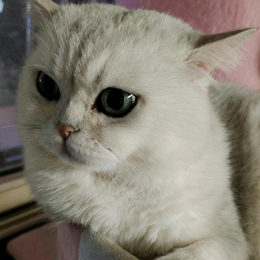 汤圆吖～