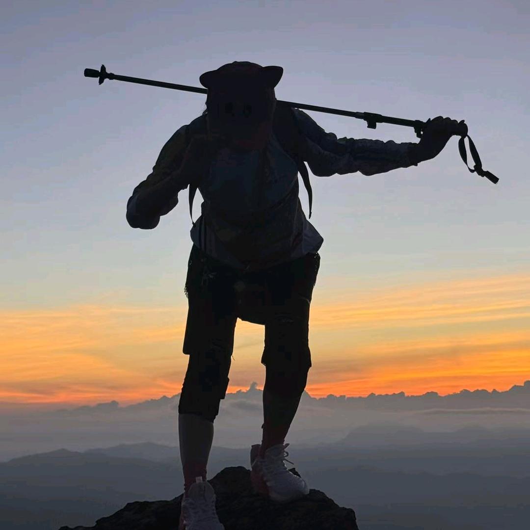 欧施涂·艺术漆 嘉宾