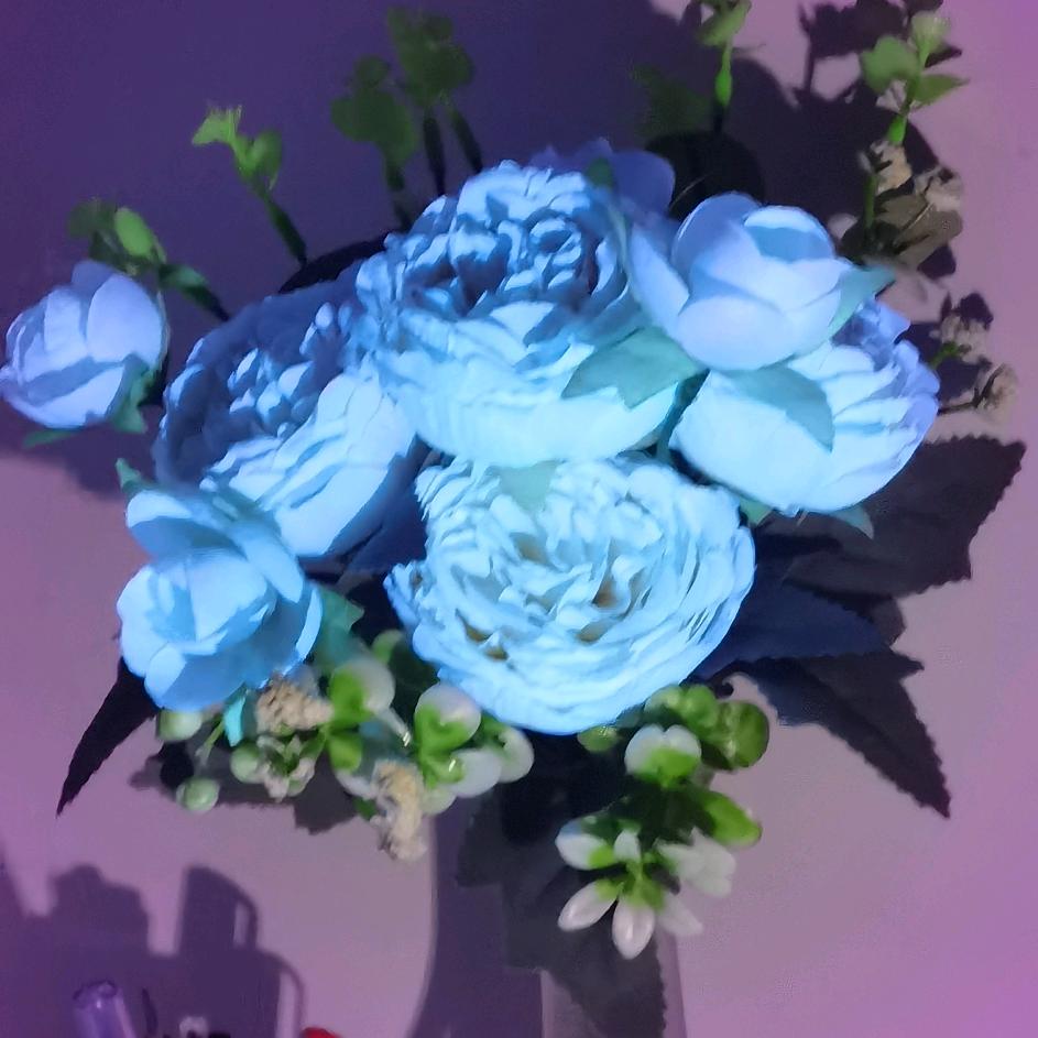 …七