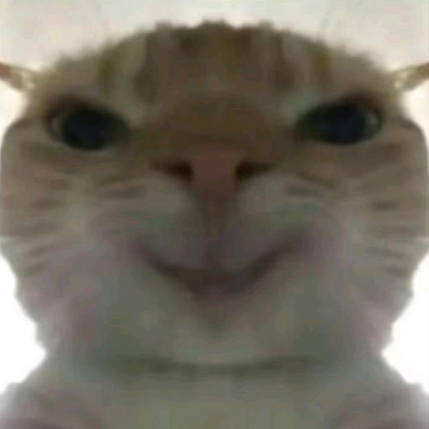 鼠小白
