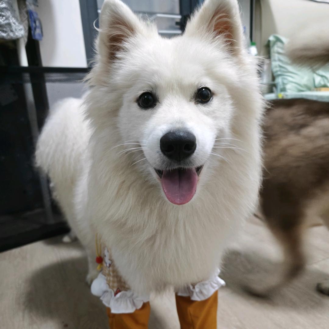 财神爷的心尖宠