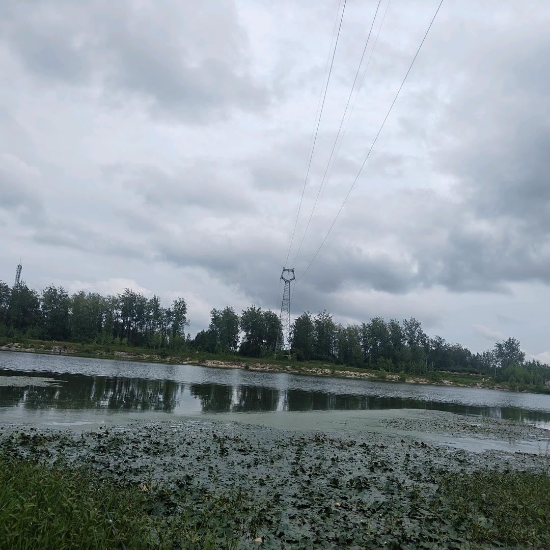 曹  (上海建筑材料)