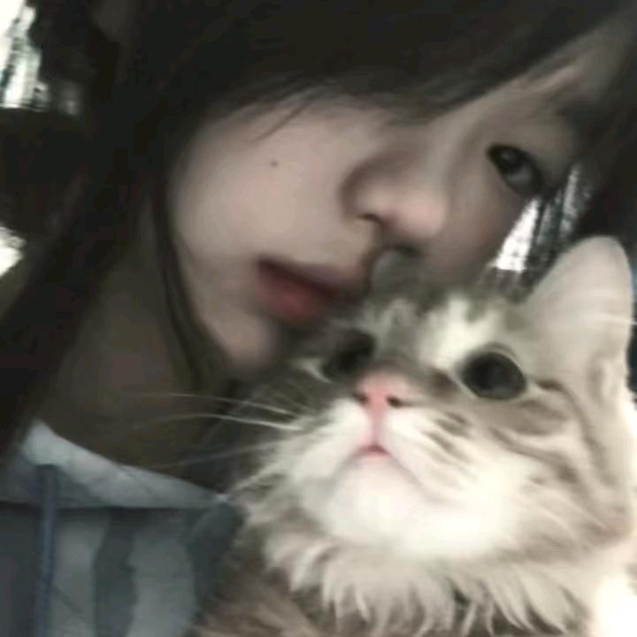 温柔小鱼～