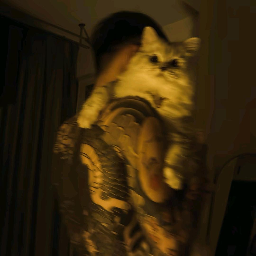 家住东营大马路