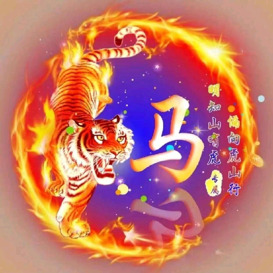 🐯老虎🐯520