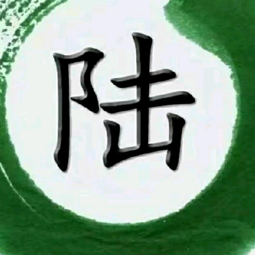 《陆陆真心换来全是伤害》