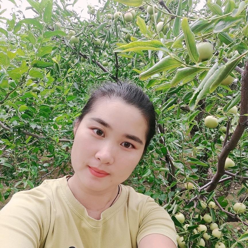 沾化冬枣小妹