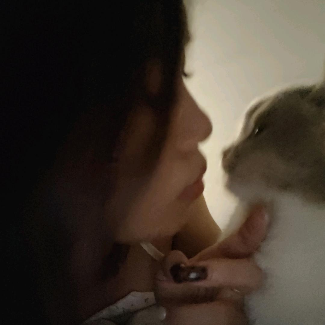 su稣鸭
