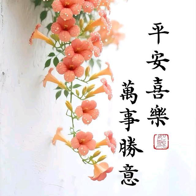 时光好物