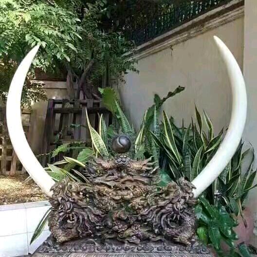 耶不叶