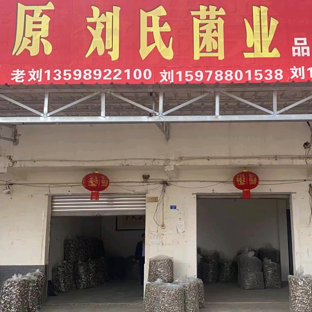 刘氏菌业《菌菇缘》羊肚菌购销，欢迎合作