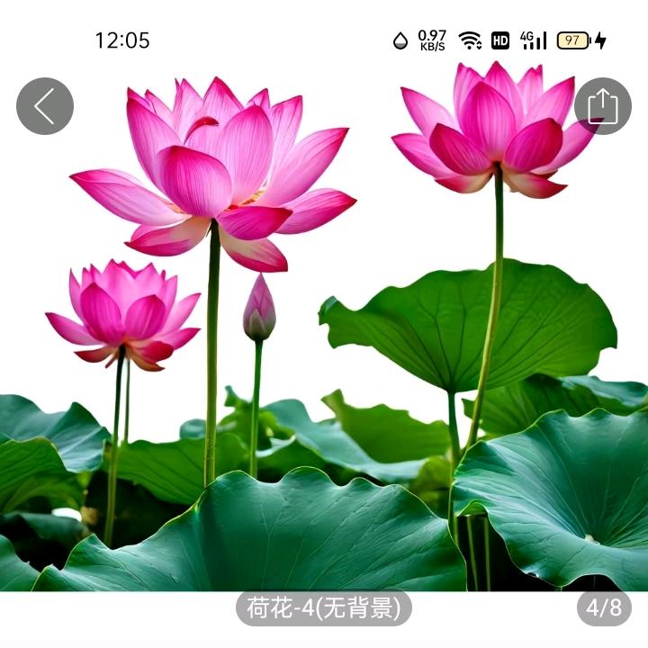 开❤快乐每一天🇨🇳🇨🇳🇨🇳