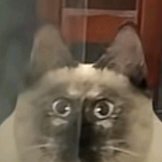 励志一定要把全世界的狗子全部都撸秃噜皮