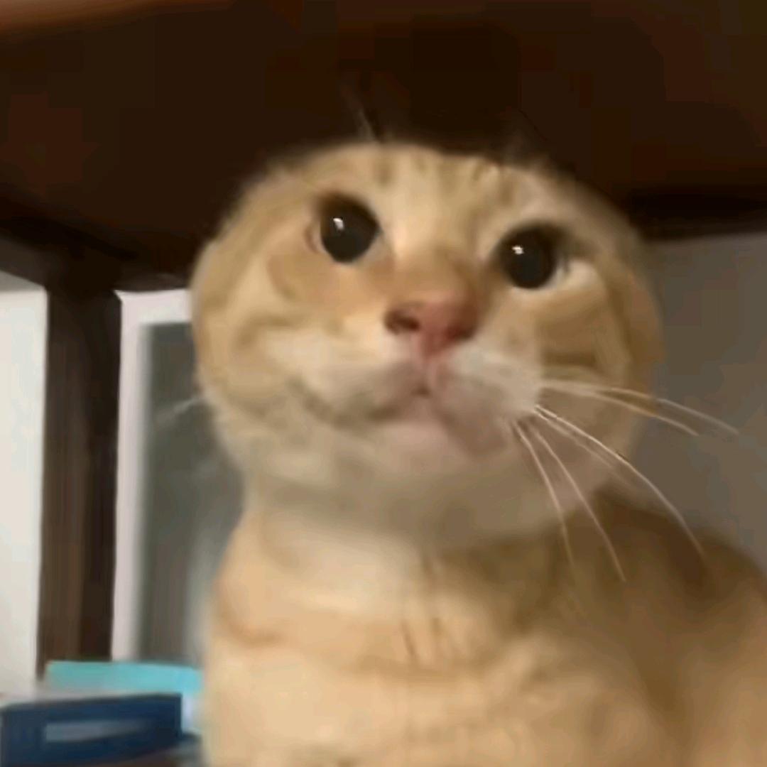 唠唠