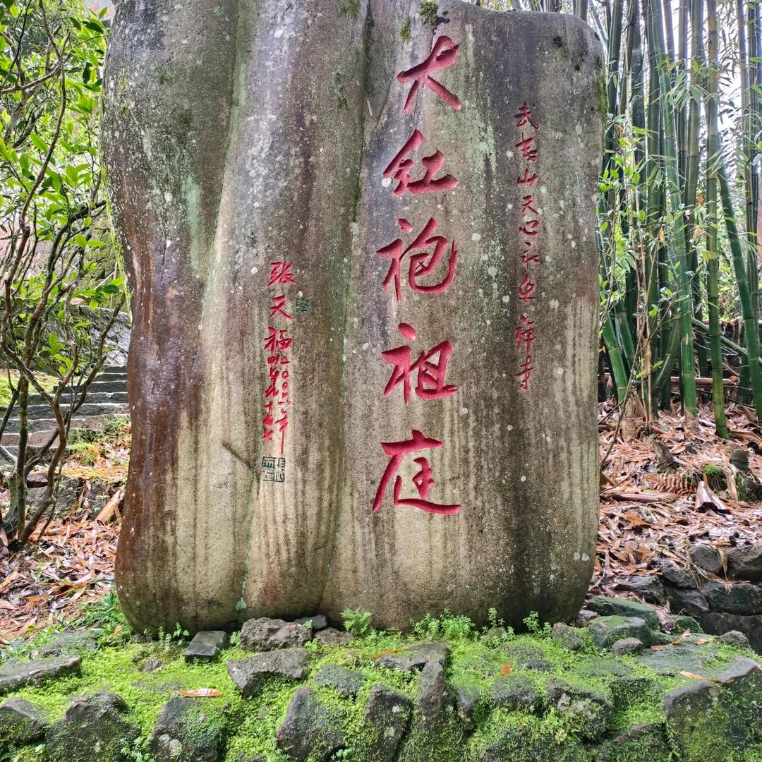 晓尚茶叶专注武夷岩茶，红茶