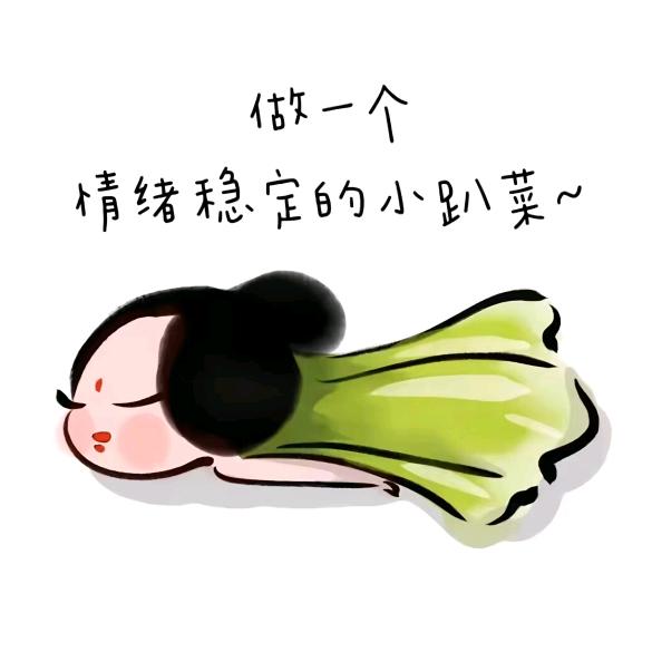 躺平小趴菜