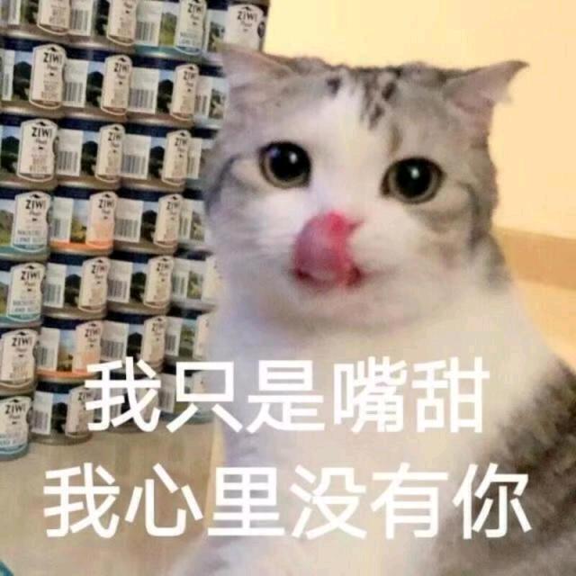 尼猫猫掉菈