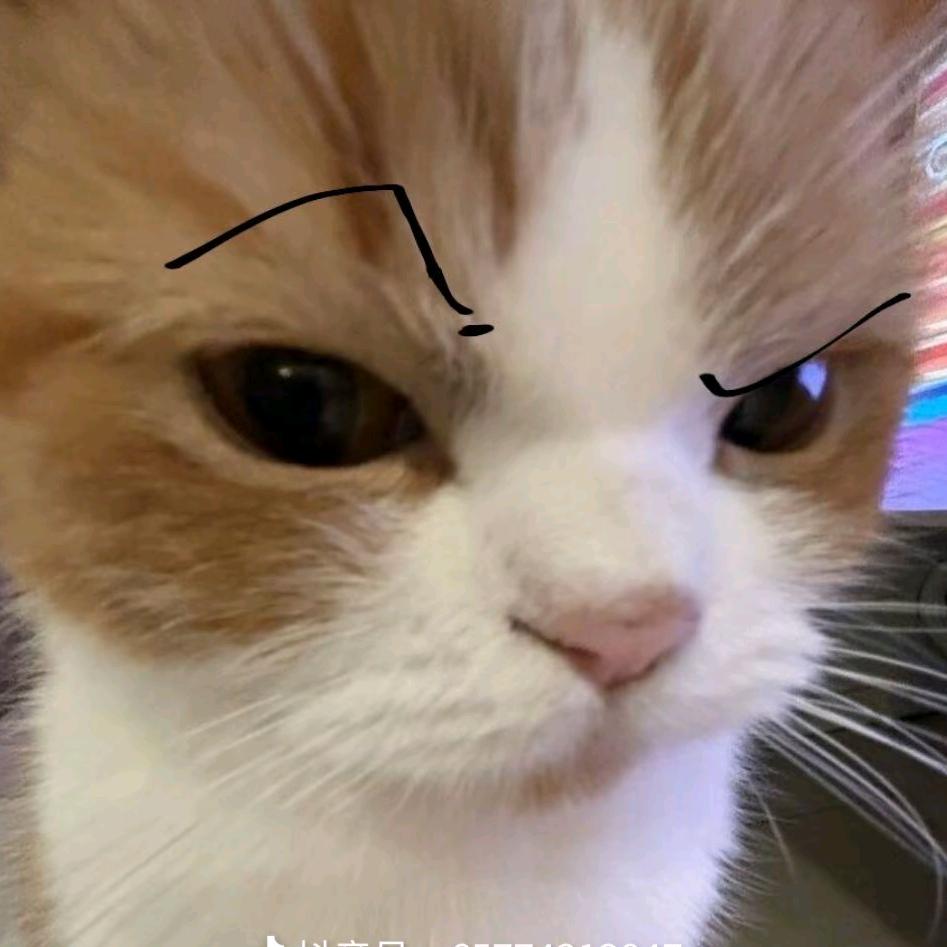 汉堡宝