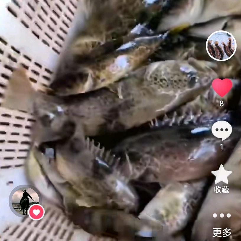 随县邦农电子商务中心1