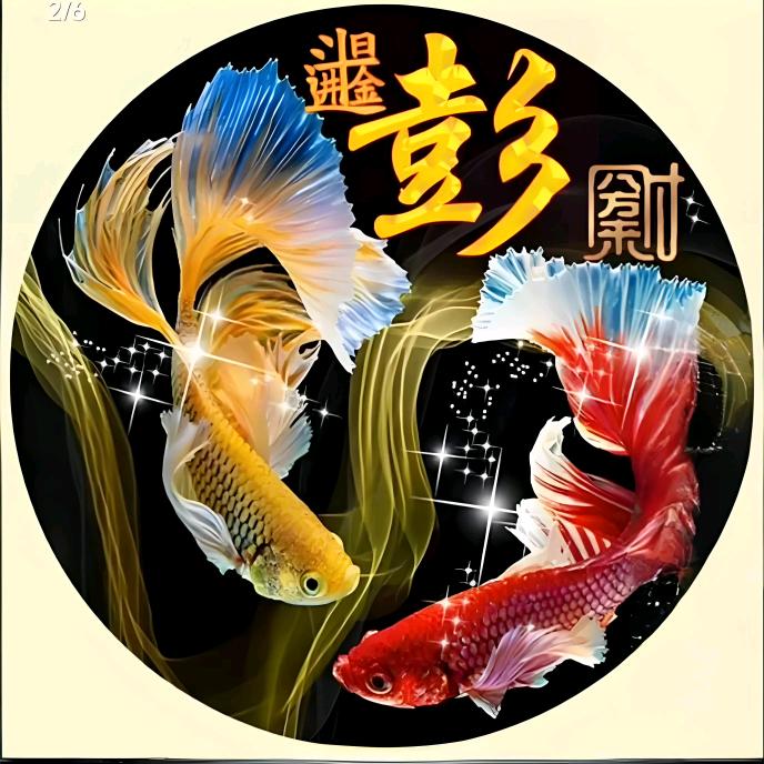 臻味园小彭哥