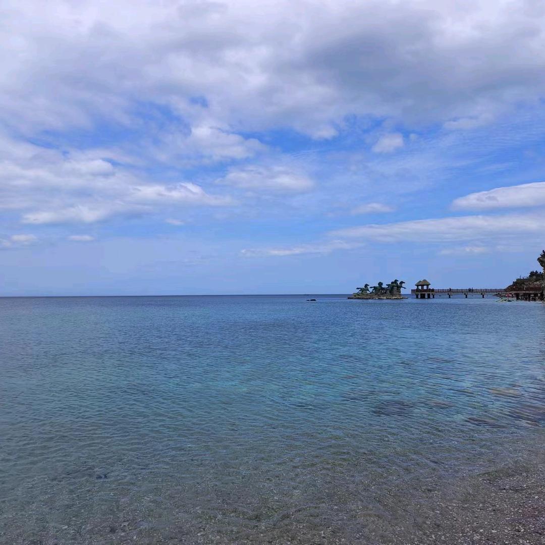 面包（手游推广）🌾