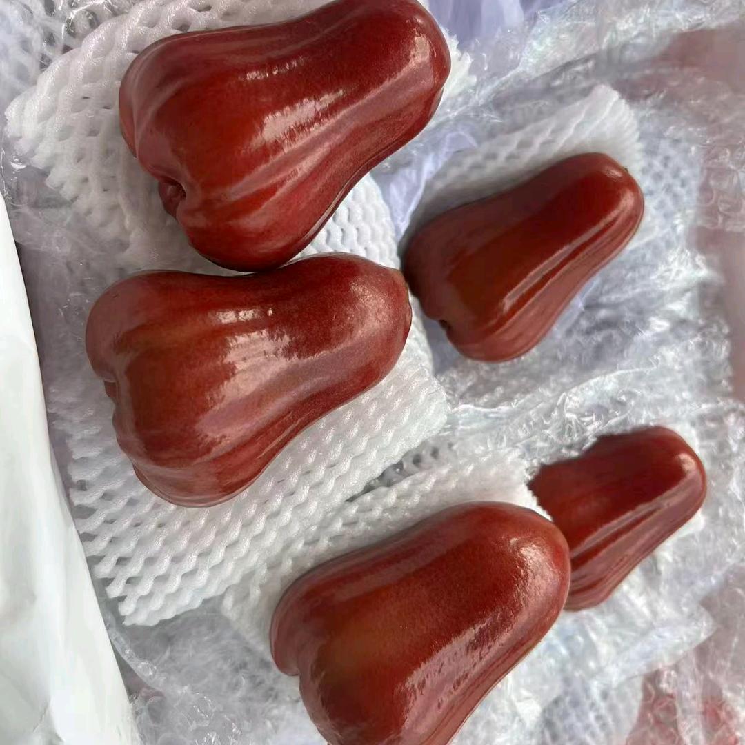 金鑫隆果品,水果