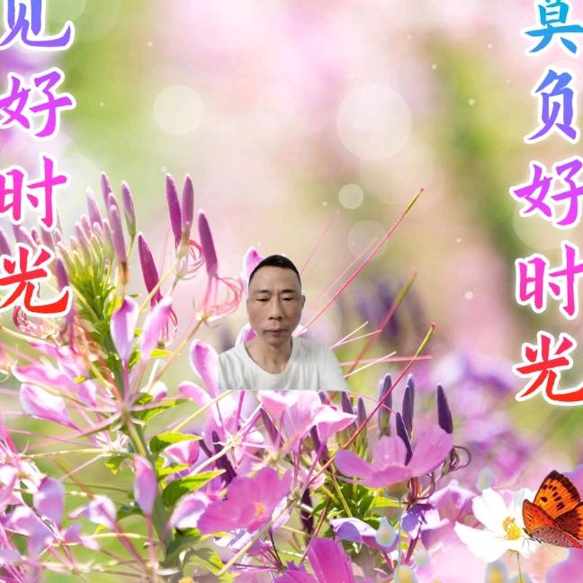 赣州稻米