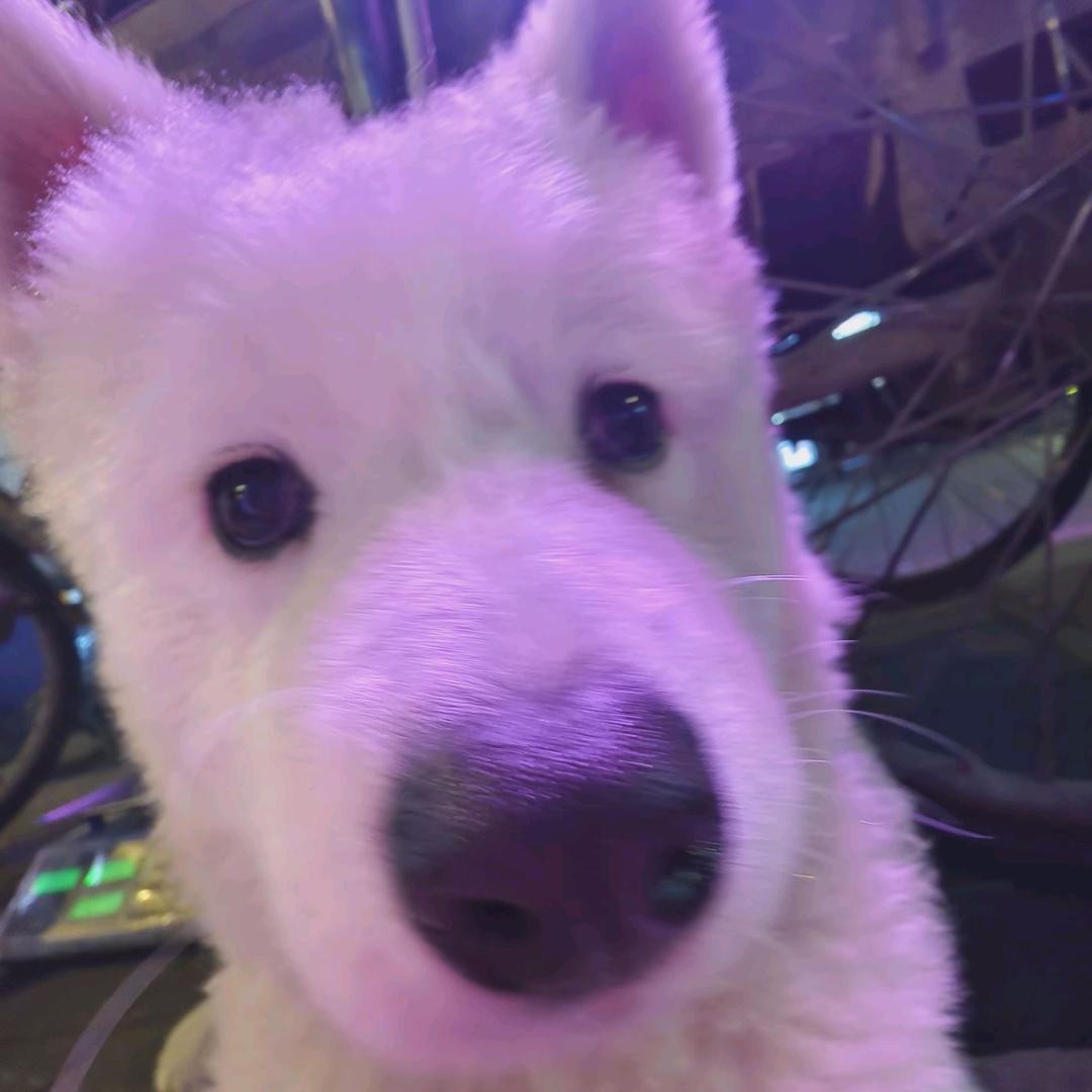 闻钦