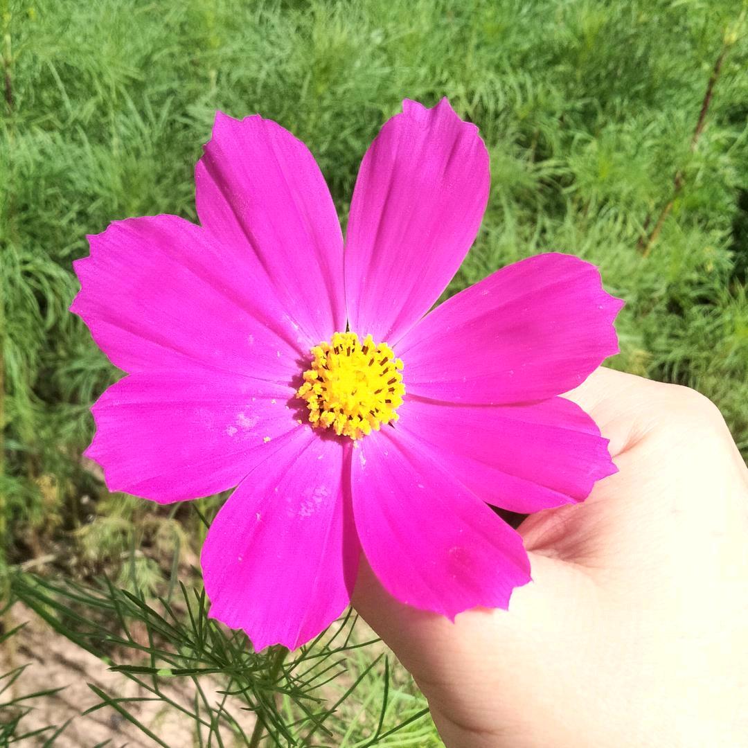 🌸美好时光🍓