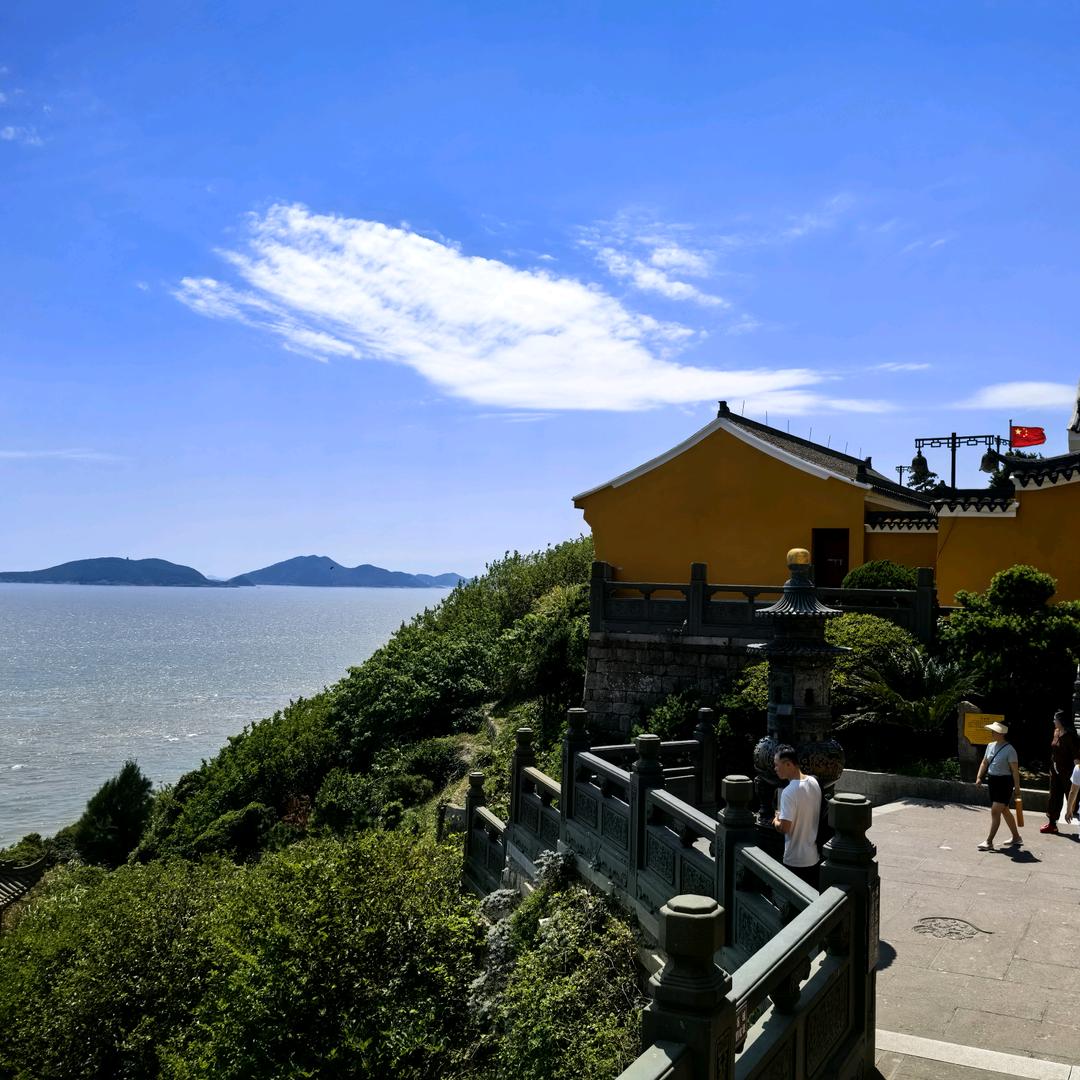 养2只太阳🌞🌞