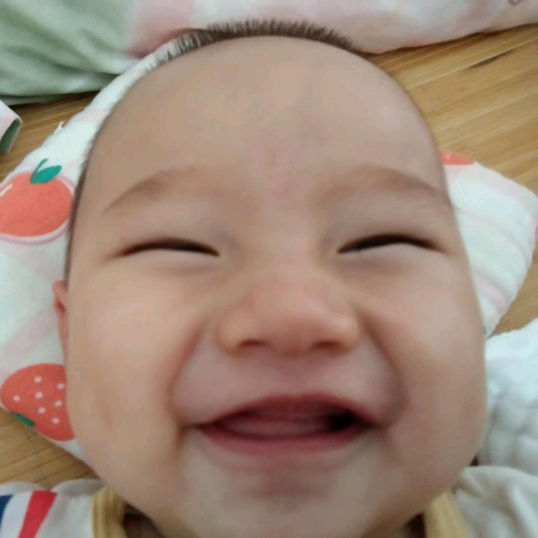 小不点新日记