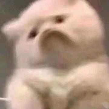 始终头像