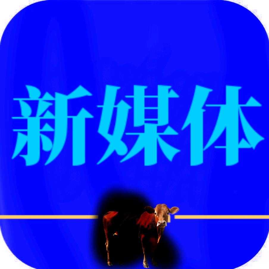 新闻