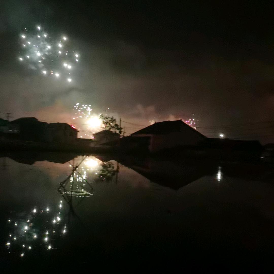 朱雀桥边野草花