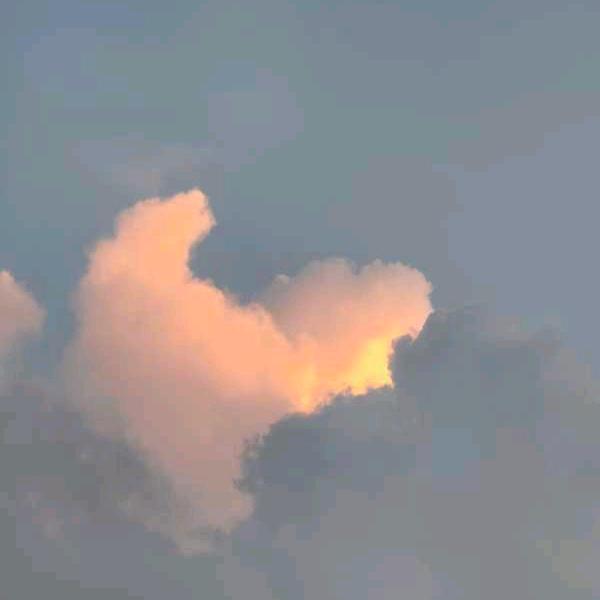 素素