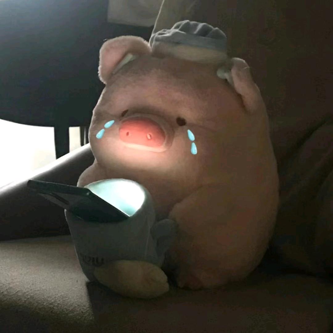 ･᷄ 🐽 ･᷅