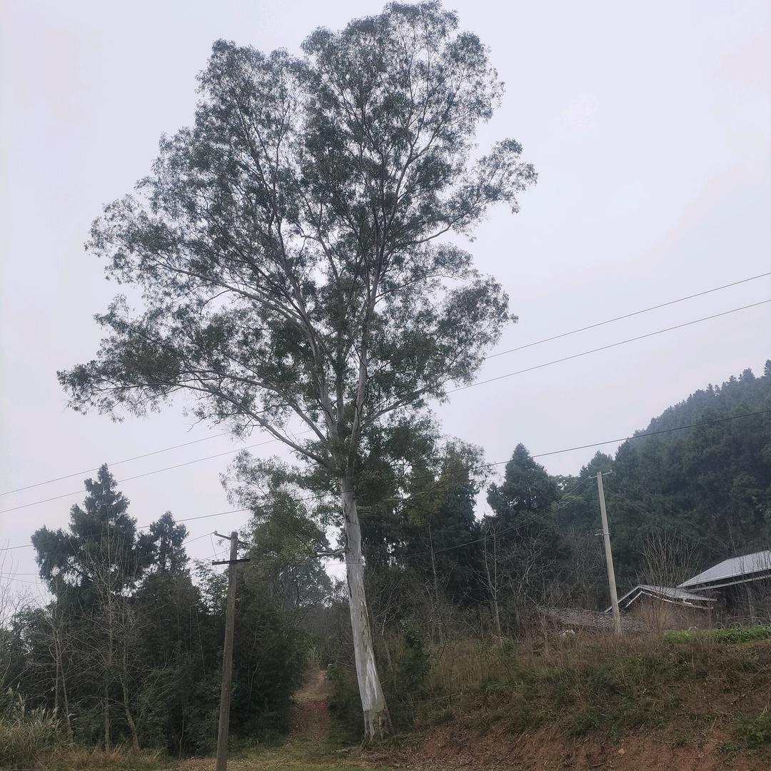 万里山海